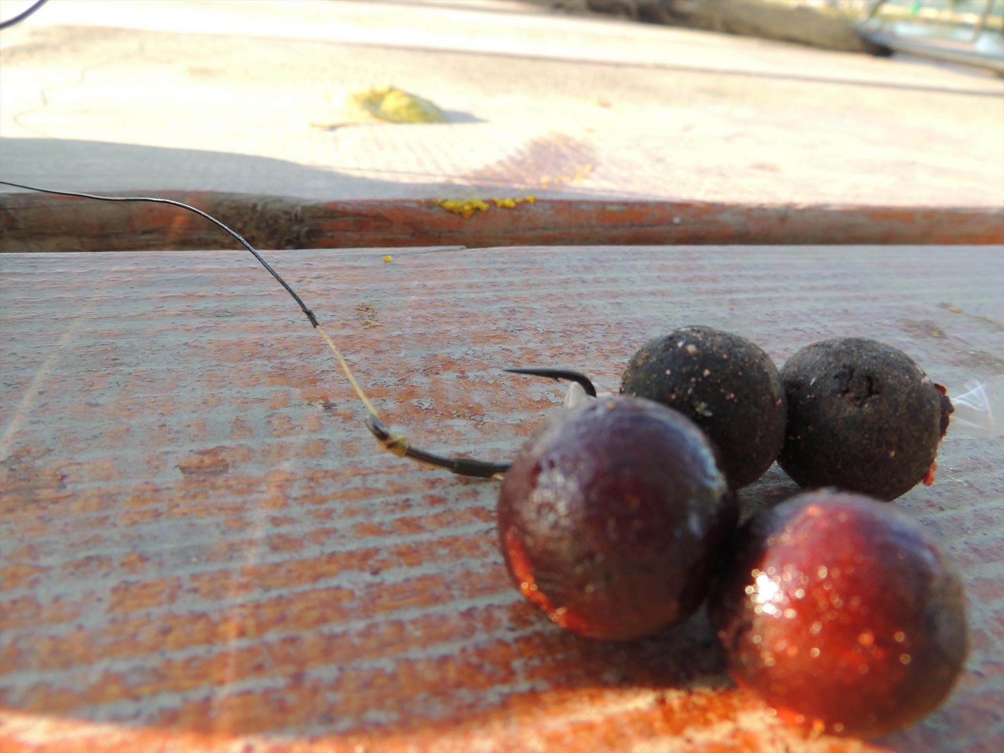 Pleasa - dscn0582.JPG